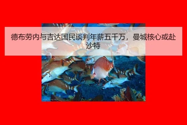 德布劳内与吉达国民谈判年薪五千万，曼城核心或赴沙特